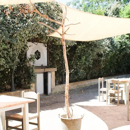 农家乐 The Olive Tree