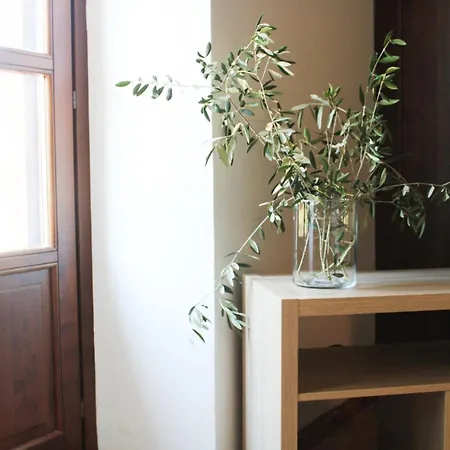 The Olive Tree 农家乐