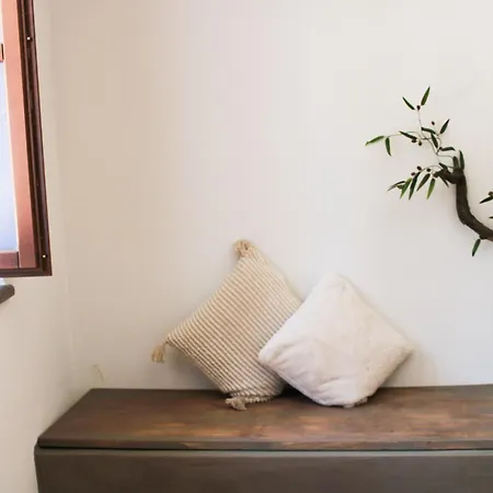 The Olive Tree *