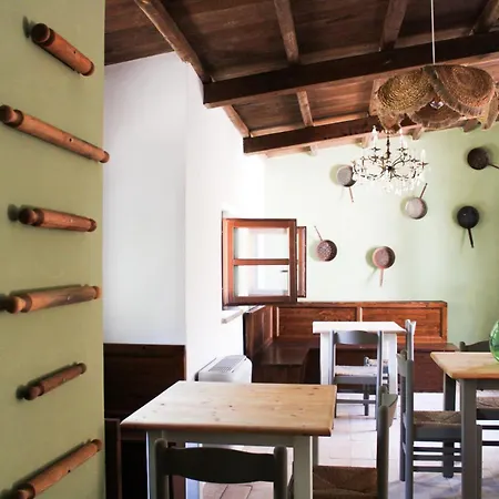 The Olive Tree 奥尔泰