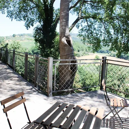 农家乐 The Olive Tree 奥尔泰