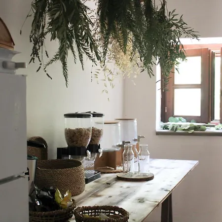 农家乐 The Olive Tree *